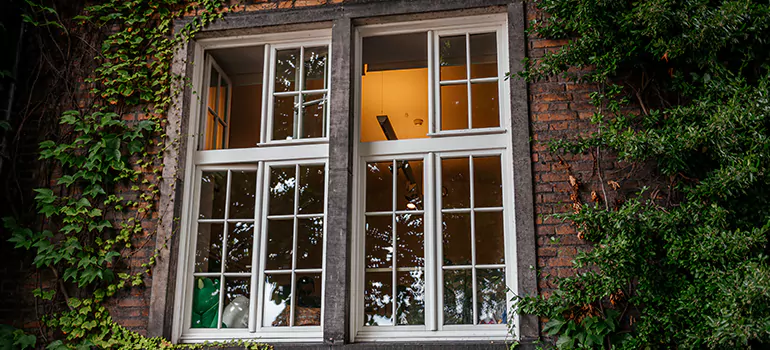 Energy Efficient Wood Windows in North Miami Beach, FL