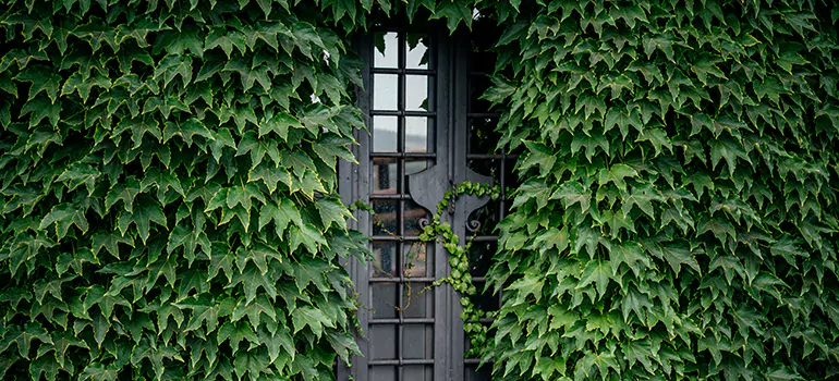 Garden Gate Repair in North Miami Beach, FL