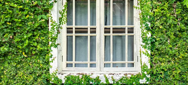 Garden Window Repair Near Me in North Miami Beach, FL