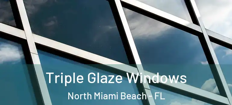  Triple Glaze Windows North Miami Beach - FL