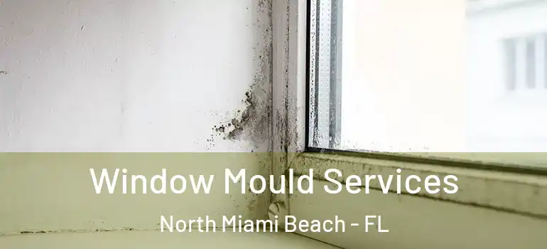  Window Mould Services North Miami Beach - FL